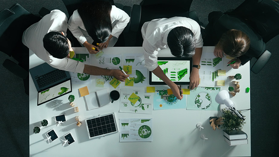 Einführung in das Nachhaltigkeitsmanagement