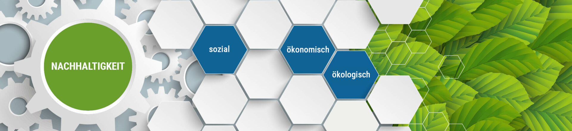 Nachhaltigkeit - ökologisch - ökonomisch - sozial